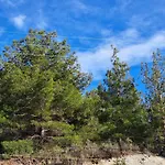 公寓 Troodos Mountain House! *