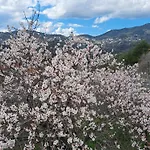 公寓 Troodos Mountain House! *