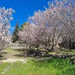 公寓 Troodos Mountain House! *