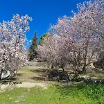 公寓 Troodos Mountain House!