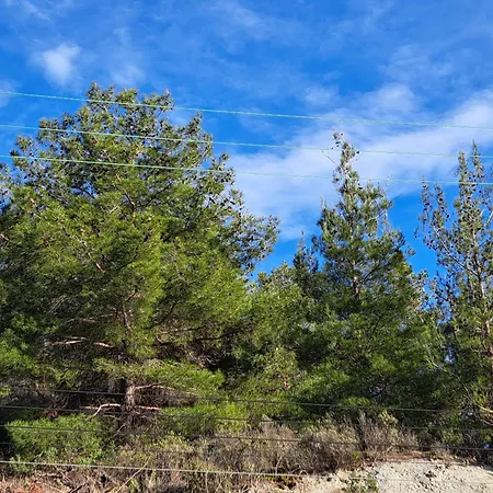 Apartamento Troodos Mountain House! *
