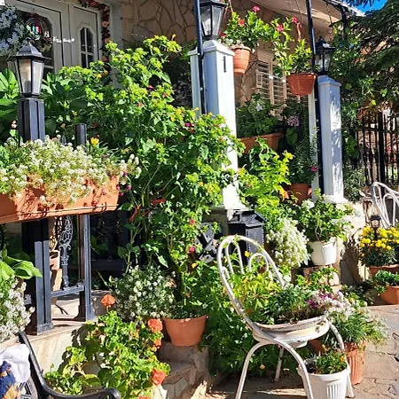 Troodos Mountain House! Apartamento