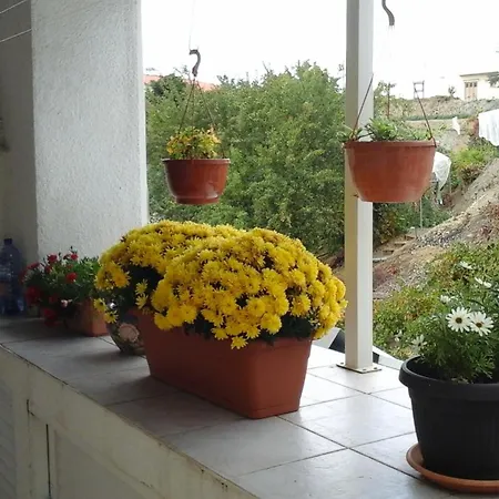Troodos Mountain House! Apartamento