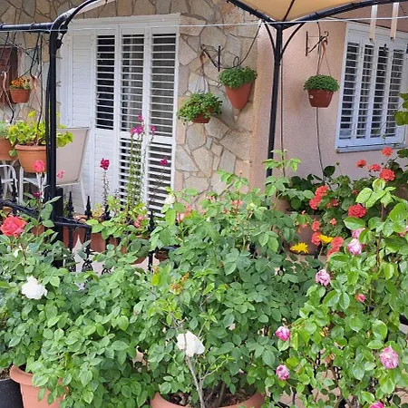 Troodos Mountain House!