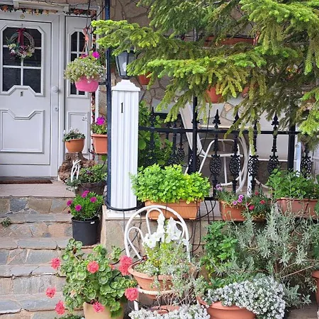 Troodos Mountain House! Apartamento