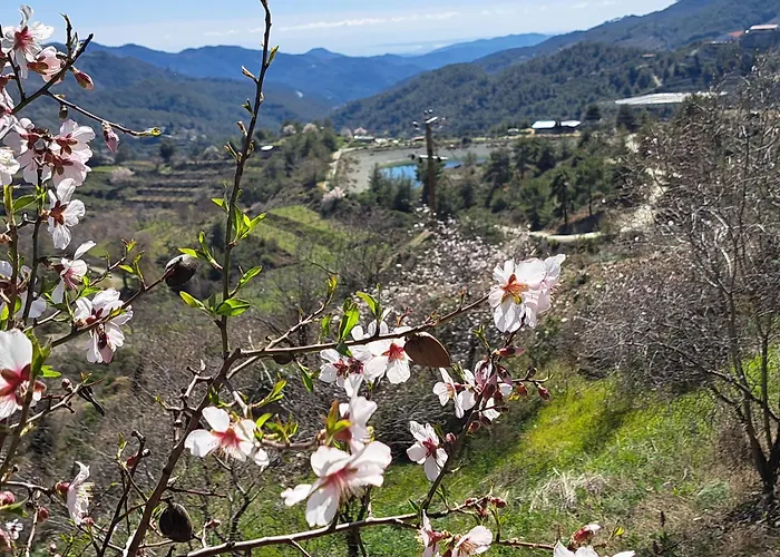 Lejlighed Kyperounta Troodos Mountain House!